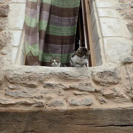 Mas De La Boheme - L'hermet * Saint-Leons